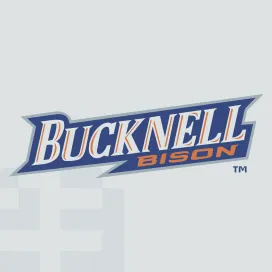 Bucknell bison
